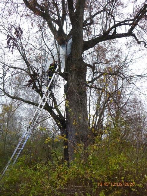 Perný den hasičů na Broumovsku
