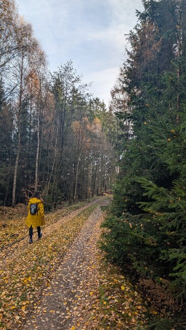 Kolem dvou tvrzí nad Stárkovem
