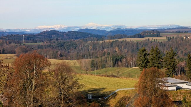 Pohádkovou psí stezkou na Větrnou horku