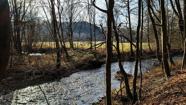 Pohádkovou psí stezkou na Větrnou horku