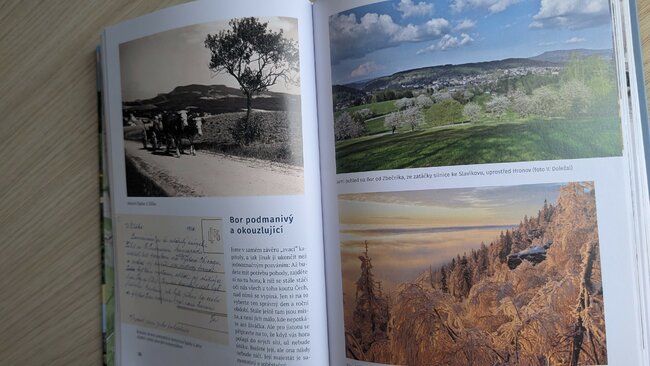 S vydáním knihy Hora Bor jsem váhala. Daří se jí ale náramně