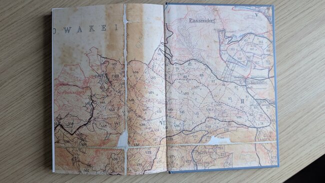 S vydáním knihy Hora Bor jsem váhala. Daří se jí ale náramně