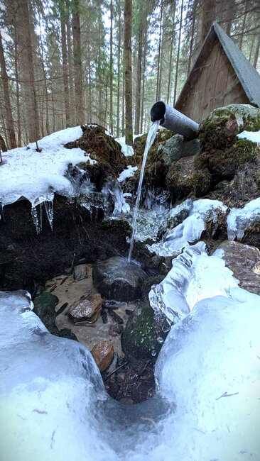 Kde prastarý Borek šumí po skalinách s ozvěnou