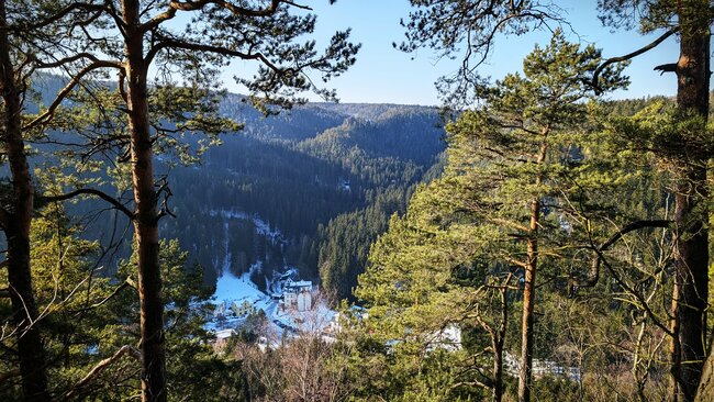 Kde prastarý Borek šumí po skalinách s ozvěnou