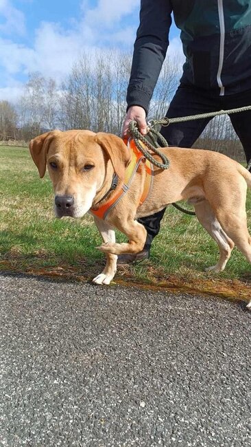 Dobré skutky nebudou zapomenuty!