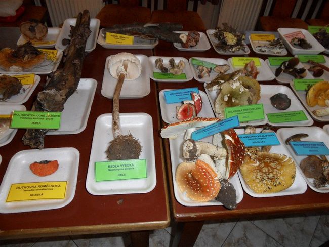 V Broumově přednášel fenomenální bylinkář Pavel Váňa. Stejně skvělý byl i mykolog Jiří Baier