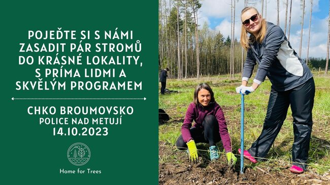 Výzva: Přijďte sázet stromy se spolkem Julinka