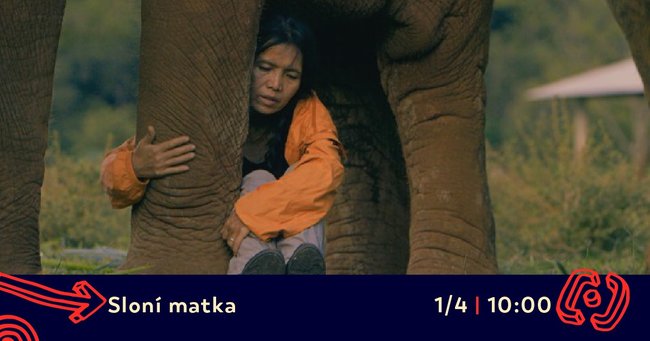 Již ve čtvrtek začíná  festival dokumentů Jeden svět v Polici nad Metují