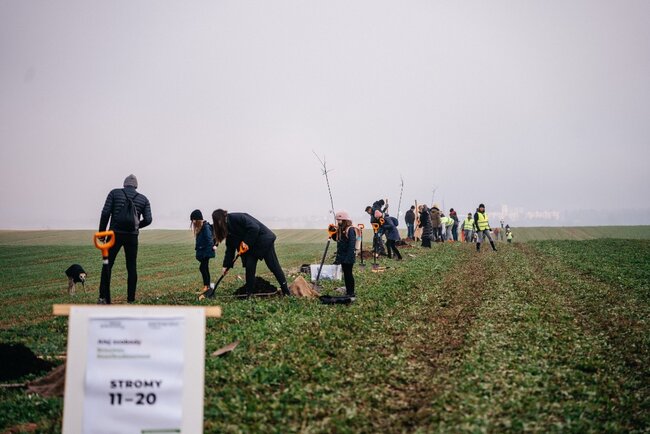 Alej svobody pomohl sázet i prezident Petr Pavel
