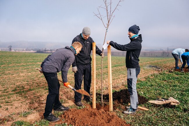 Alej svobody pomohl sázet i prezident Petr Pavel