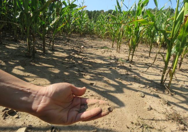 Do boje s klimatickými změnami se přidávají další obce na Broumovsku