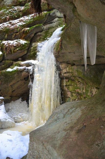 V zimě na hřiby? A proč ne…? 
