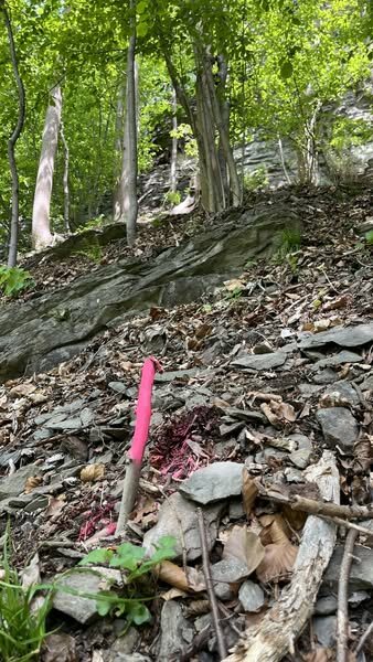 U polického nádraží začala sanace problematického svahu