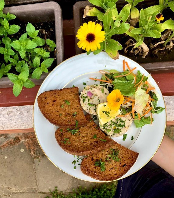 Tataráček z uzeného pstruha z Ryby na hrázi