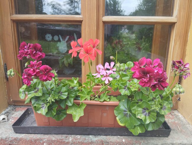 Police nad Metují: Za město krásnější!