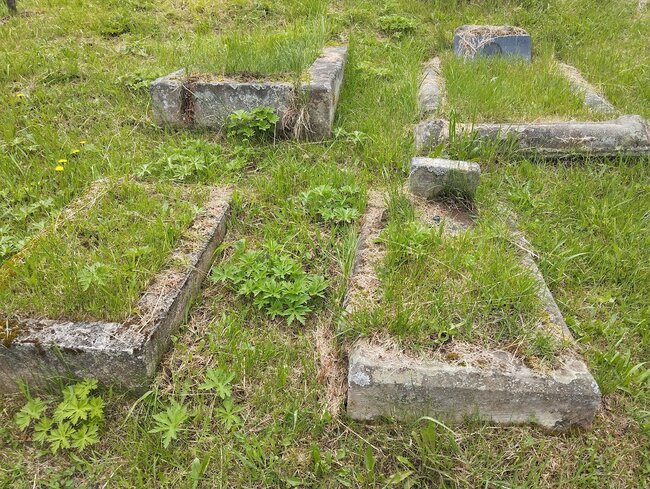 Postarat se o kamennou kroniku. Staré německé hroby mají šanci na záchranu