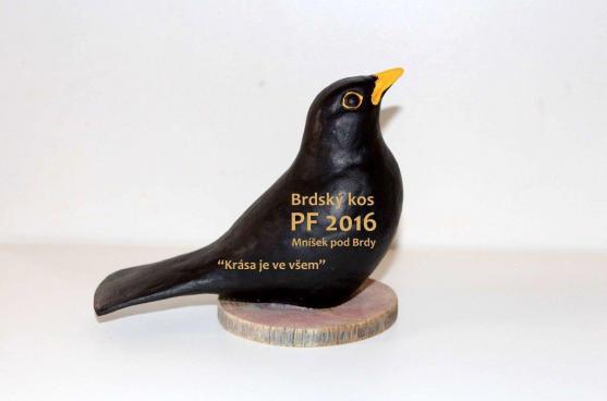Brdský kos přiletěl do Broumova