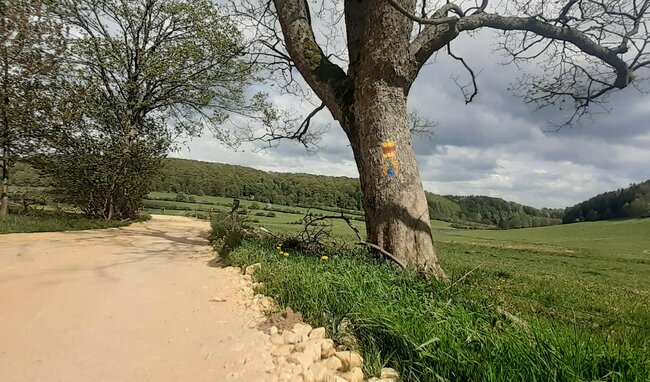 Z Adršpachu na Libnou je část nové cyklostezky