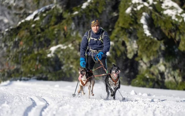 Nejdůležitější je přivést psy v pořádku do cíle