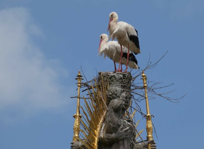 Adršpach, čápi, práce i semafor. A hlavně lidé. O čem jsme psali v roce 2025