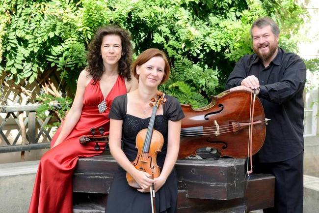 Přednáška o violoncellu a violoncellistech
