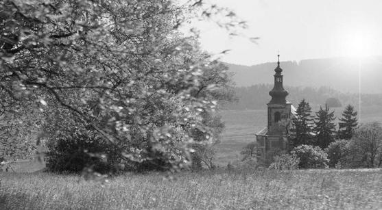 Americký hornista a hudební skladatel Kerry Turner vystoupí ve vižňovském kostele sv. Anny