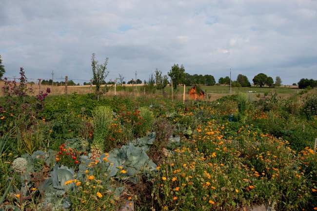 Chceme vytvářet místo pro život, setkávání a sdílení