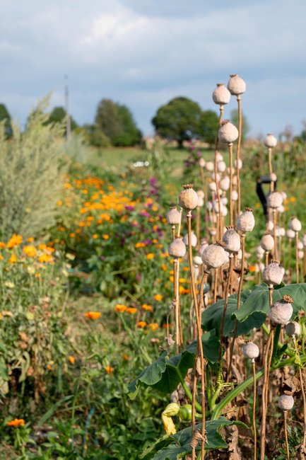Chceme vytvářet místo pro život, setkávání a sdílení