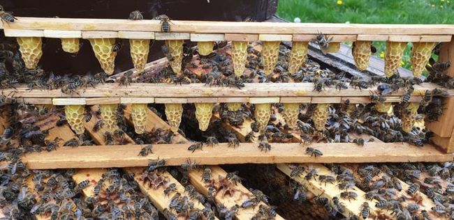 Rozhovor se Simonou Adamcovou, držitelkou certifikátu Broumovsko - regionální produkt 