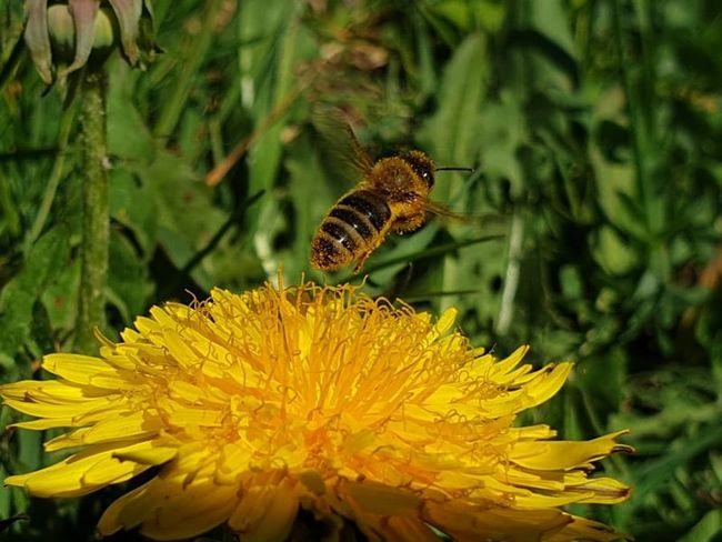 Rozhovor se Simonou Adamcovou, držitelkou certifikátu Broumovsko - regionální produkt 
