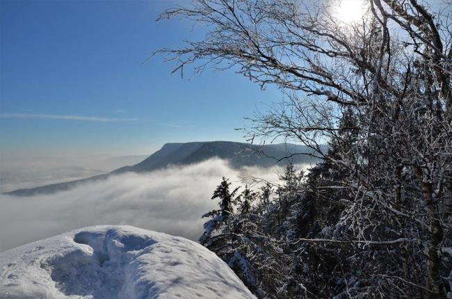 V zimě na hřiby? A proč ne…? 