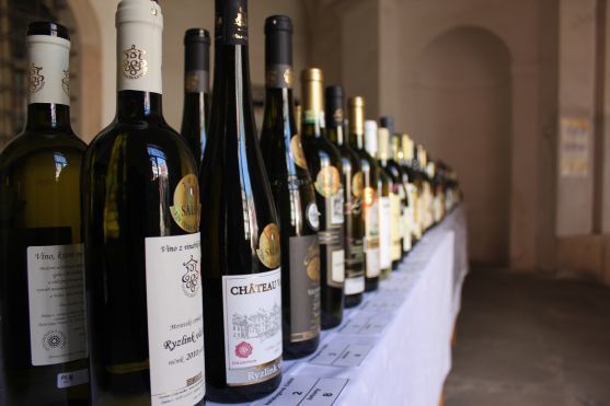 Veřejná ochutnávka vín Vinum et Cetera zahájila turistickou sezónu na Broumovsku 