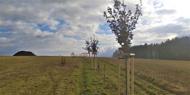 Julinka: Společnou prací pro zachování krajiny dalším generacím