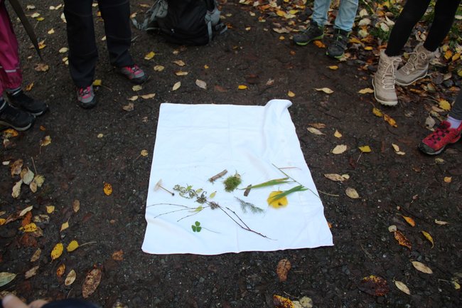 Společně s dětmi proti suchu