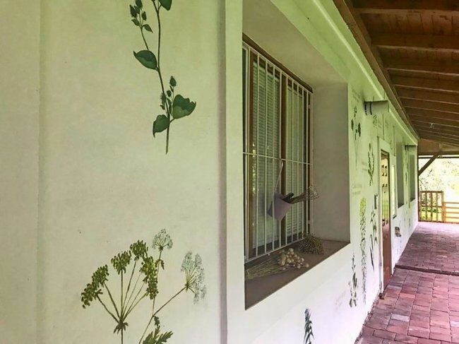 Otomar Černý pronikl do kouzla divoce rostoucích bylin