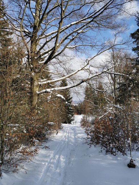 Fenomén Přejezd Javořích hor – Memoriál Emericha Ratha