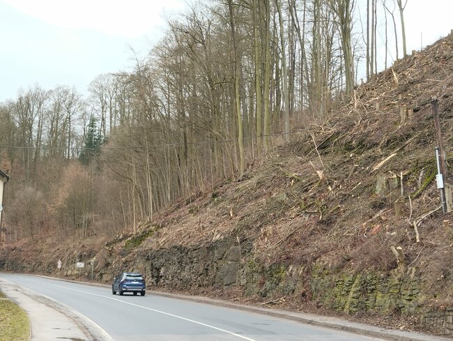 Kácení na výjezdu z Police nad Metují zatím nebude pokračovat