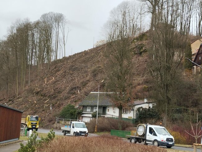 Kácení na výjezdu z Police nad Metují zatím nebude pokračovat