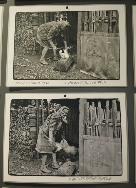 Radost z obyčejného lidství