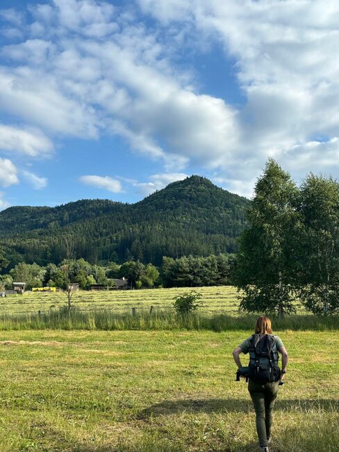 Zvířata by neměla zbytečně trpět