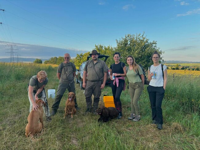 Zvířata by neměla zbytečně trpět