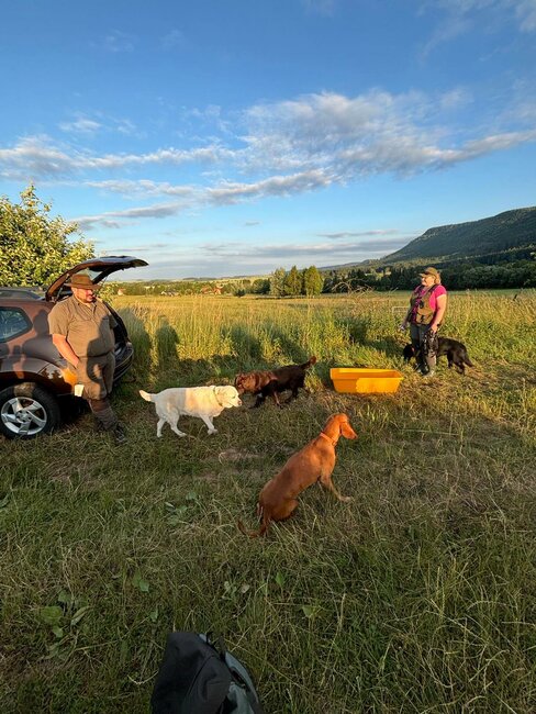 Zvířata by neměla zbytečně trpět