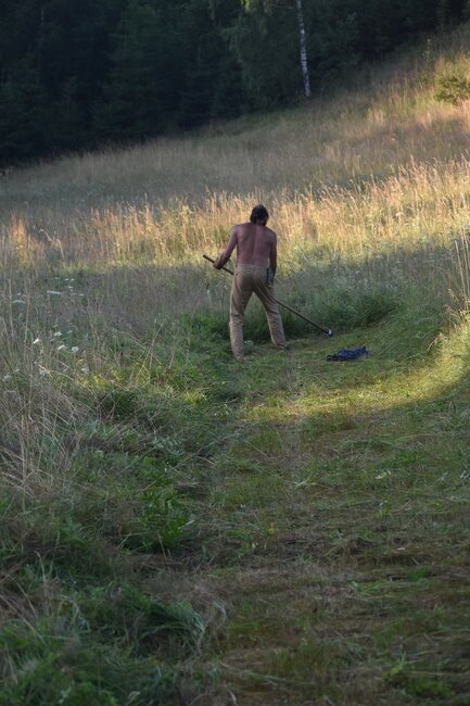 V Heřmánkovicích se koná kosení orchidejové louky