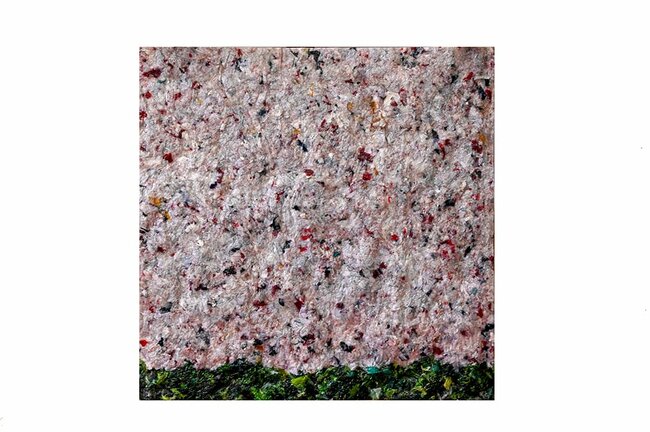 Diakonie Broumov míří se svým nápadem do světa