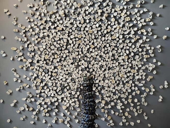 Muzeum bílého zlata ve Valbřichu