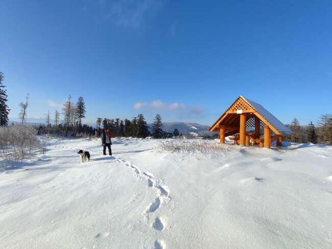 Chybí tady bydlení pro mladé