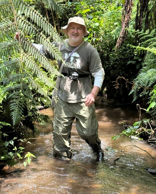 Za gorilami do deštných pralesů rovníkové Ugandy