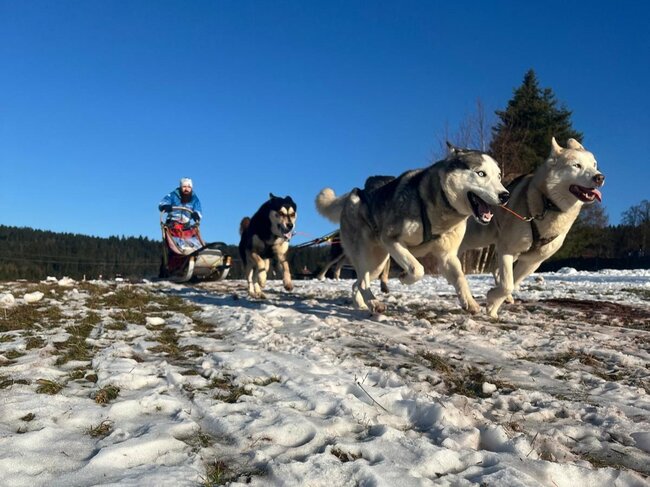 Musheři vybojovali na Janovičkách jeden závodní den na sněhu