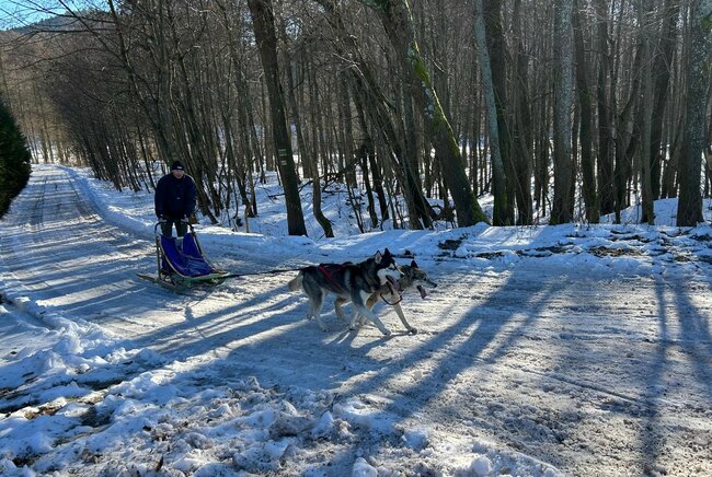 Musheři vybojovali na Janovičkách jeden závodní den na sněhu