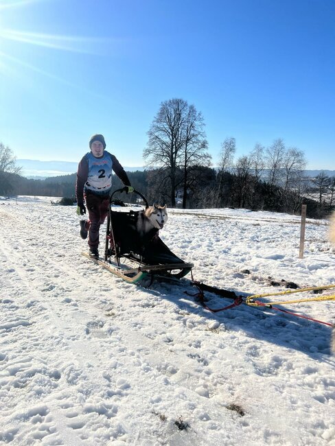 Musheři vybojovali na Janovičkách jeden závodní den na sněhu